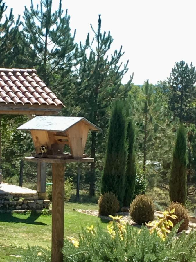 Bed & Breakfast Le Lion D'or En Perigord *