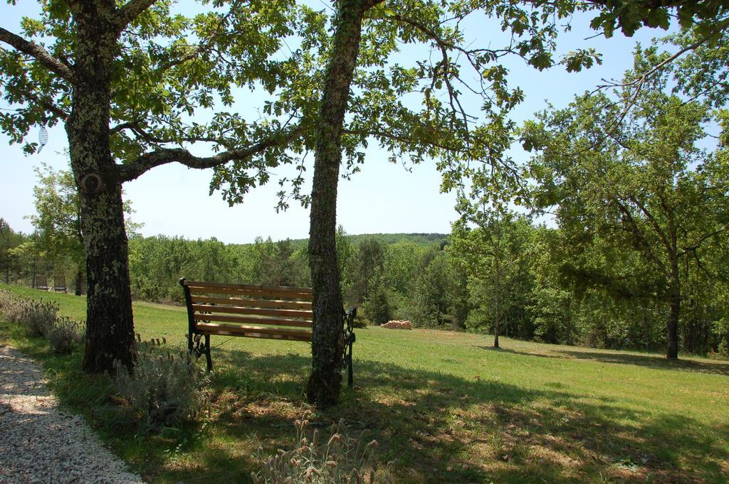 Bed & Breakfast Le Lion D'or En Perigord